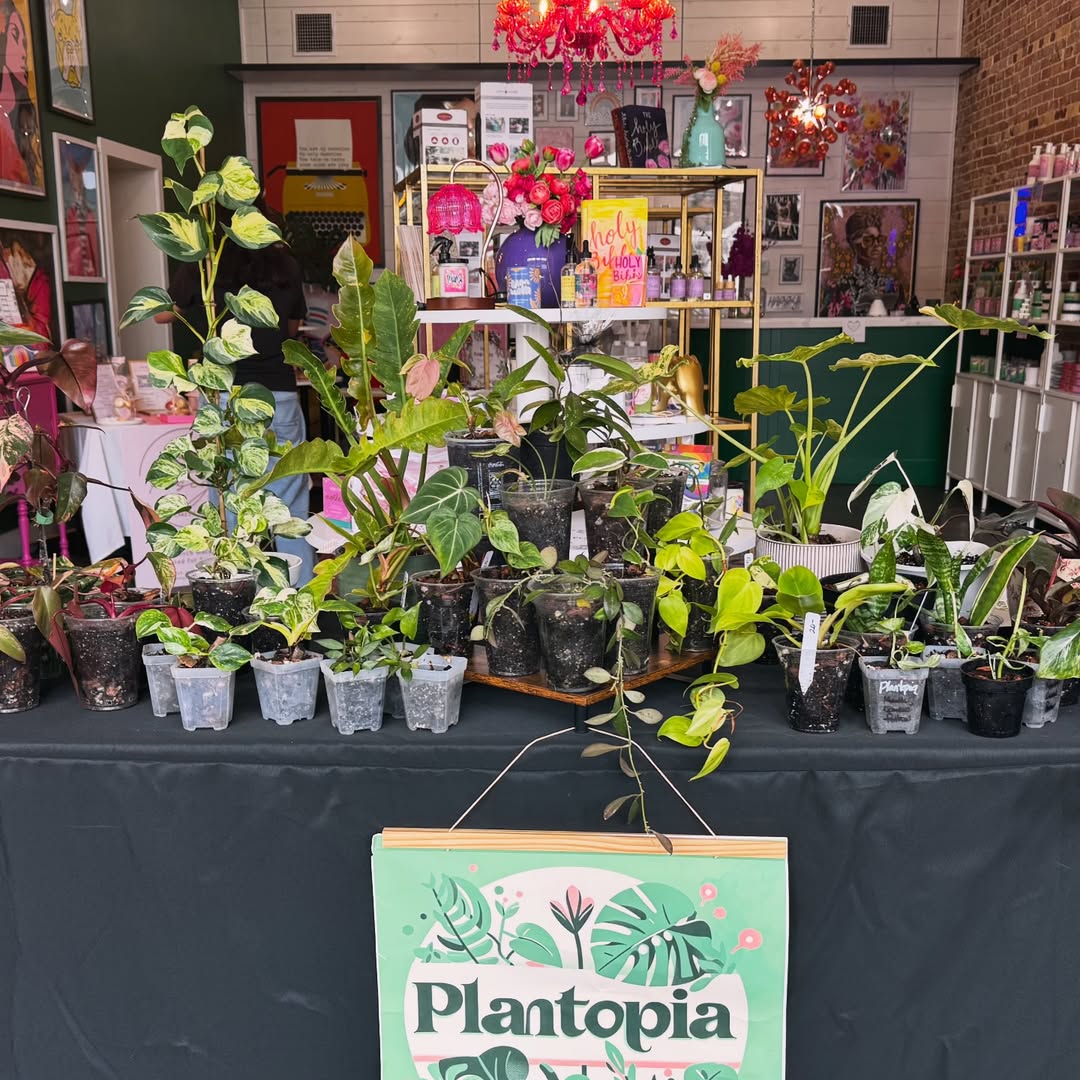 The Plantopia table set up at a market