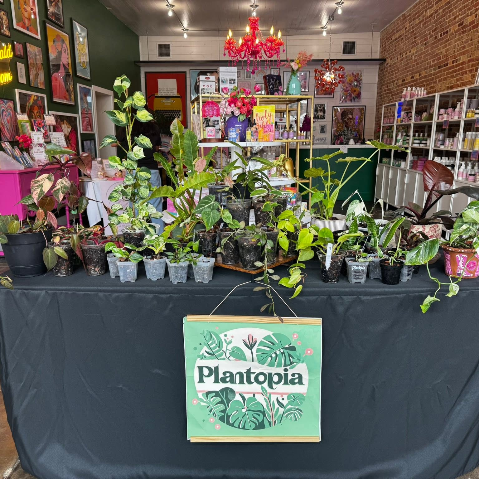 Carla's Plantopia table, stocked with plants at a market