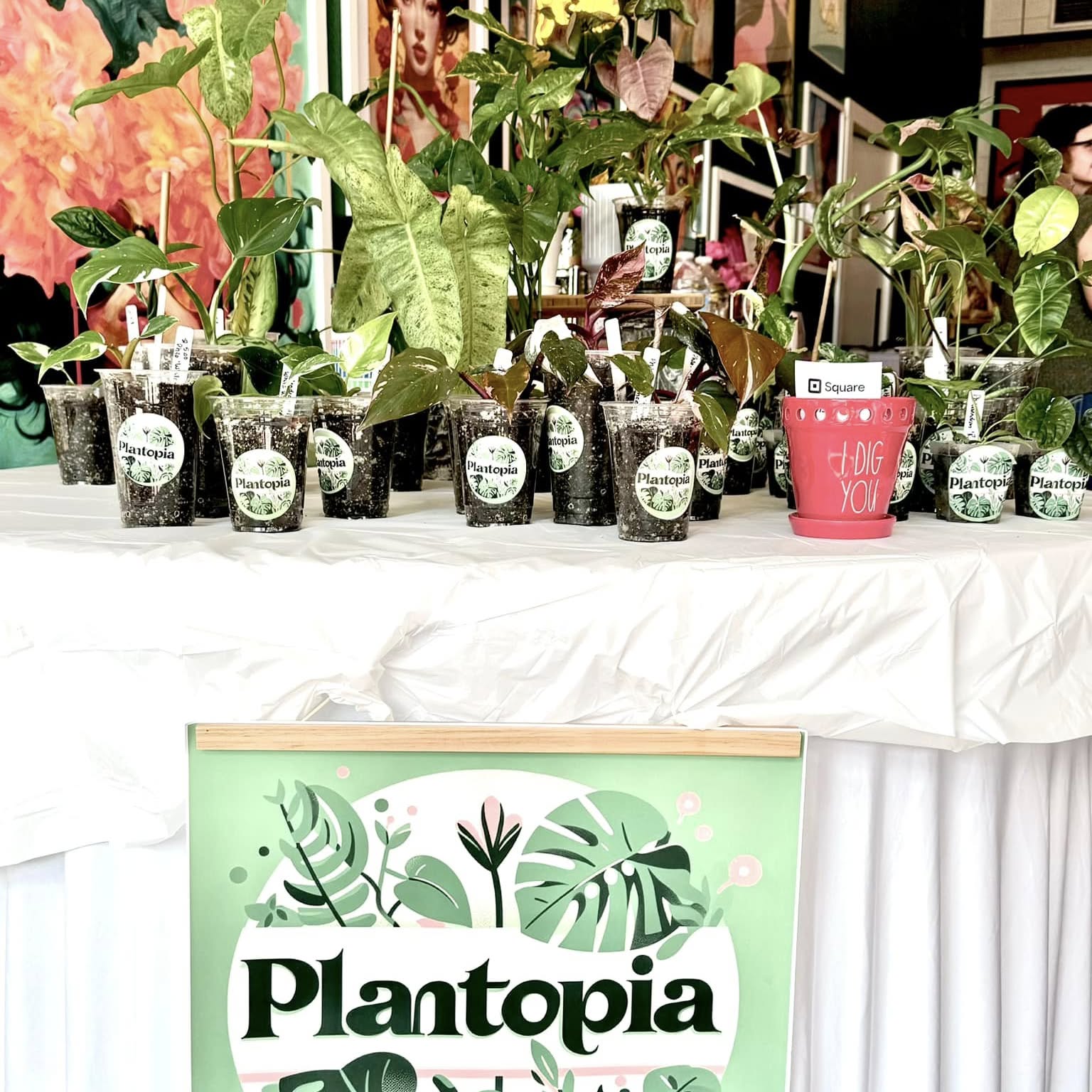 The Plantopia table set up at a market